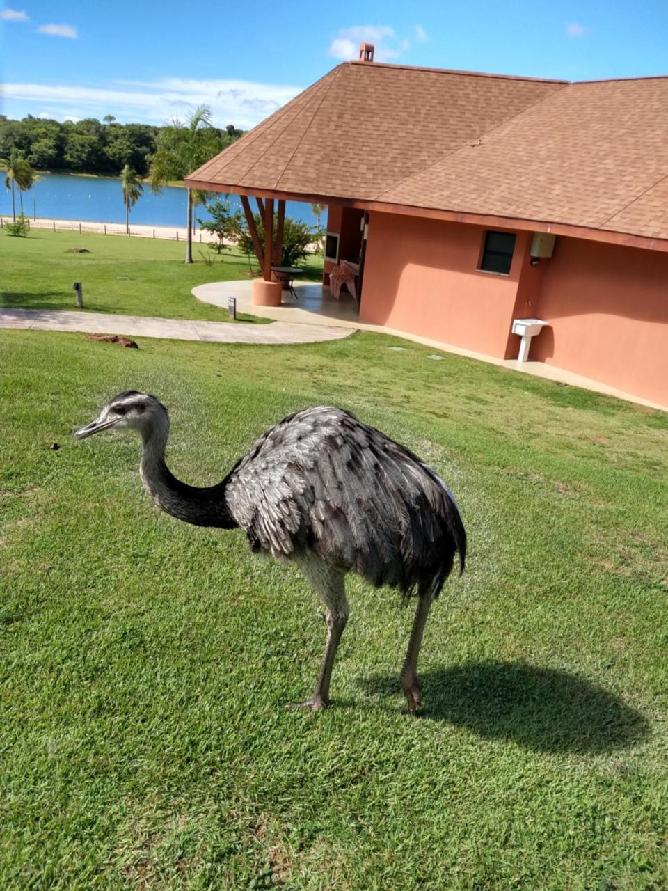 Malai Manso Cotista - Resort Acomodacoes 4 Hosp (Adults Only) Retiro  Exteriör bild
